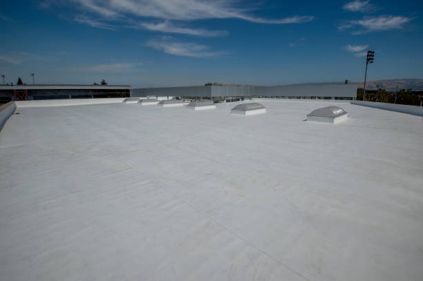 Best Rubber Roofing (EPDM, TPO)  in Elizabethtown, PA